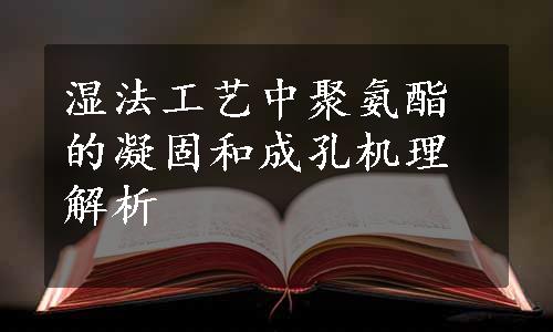 湿法工艺中聚氨酯的凝固和成孔机理解析