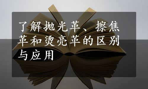 了解抛光革、擦焦革和烫亮革的区别与应用