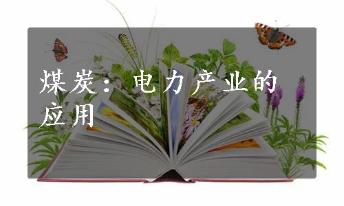 煤炭：电力产业的应用