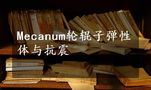 Mecanum轮辊子弹性体与抗震