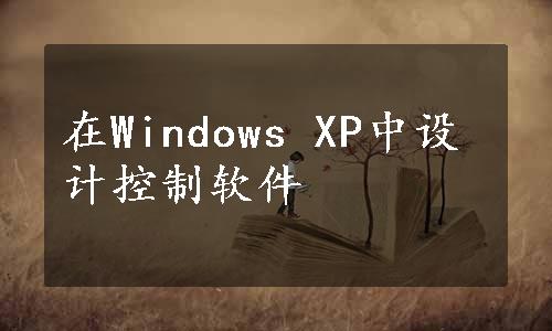 在Windows XP中设计控制软件