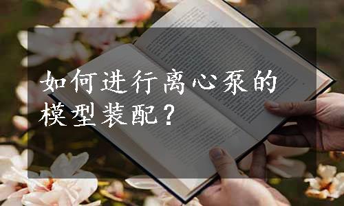 如何进行离心泵的模型装配？