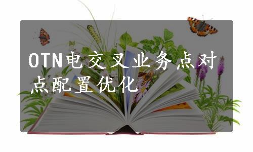 OTN电交叉业务点对点配置优化