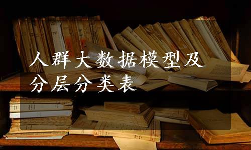 人群大数据模型及分层分类表