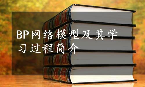 BP网络模型及其学习过程简介