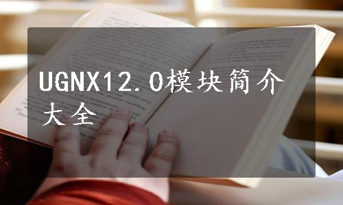 UGNX12.0模块简介大全