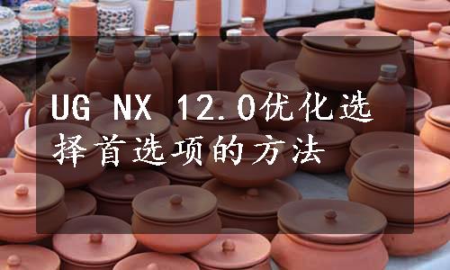 UG NX 12.0优化选择首选项的方法