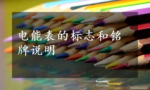 电能表的标志和铭牌说明