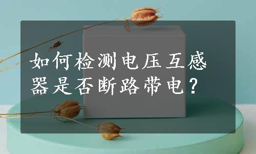 如何检测电压互感器是否断路带电？