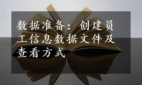 数据准备：创建员工信息数据文件及查看方式