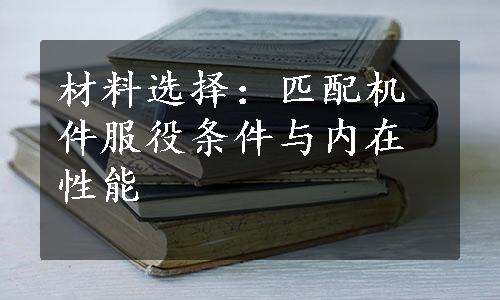 材料选择：匹配机件服役条件与内在性能