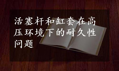 活塞杆和缸套在高压环境下的耐久性问题