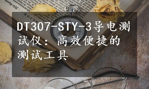 DT307-STY-3导电测试仪：高效便捷的测试工具