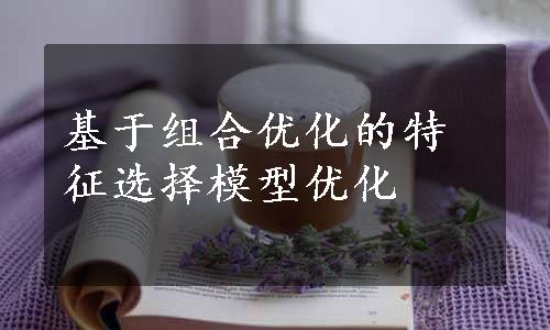 基于组合优化的特征选择模型优化