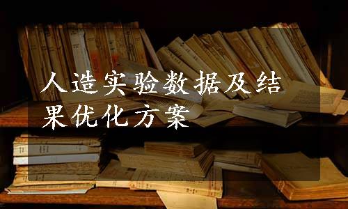 人造实验数据及结果优化方案