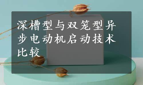 深槽型与双笼型异步电动机启动技术比较