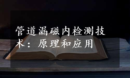 管道漏磁内检测技术：原理和应用