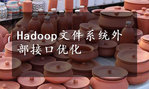 Hadoop文件系统外部接口优化