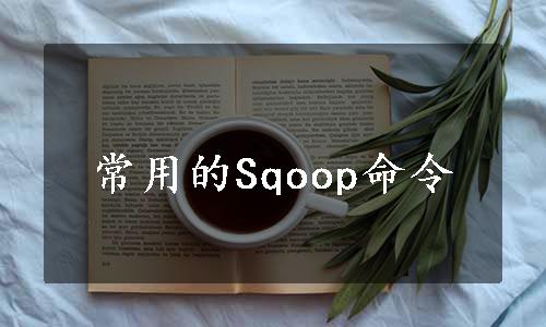 常用的Sqoop命令