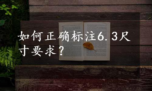 如何正确标注6.3尺寸要求？