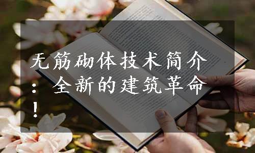 无筋砌体技术简介：全新的建筑革命！