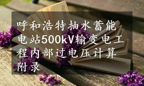 呼和浩特抽水蓄能电站500kV输变电工程内部过电压计算附录