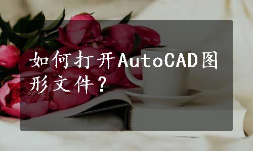 如何打开AutoCAD图形文件？