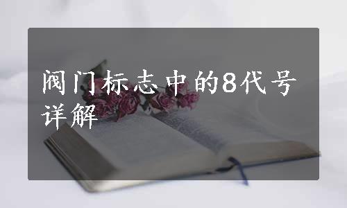 阀门标志中的8代号详解