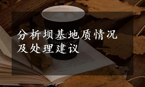 分析坝基地质情况及处理建议