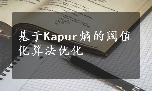 基于Kapur熵的阈值化算法优化