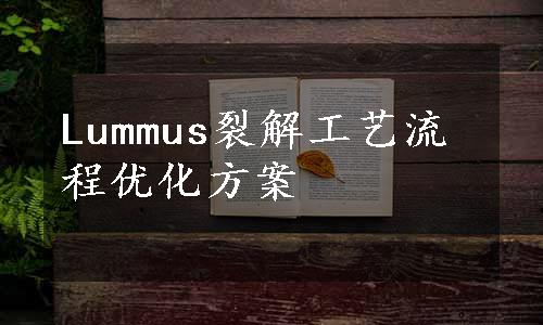 Lummus裂解工艺流程优化方案