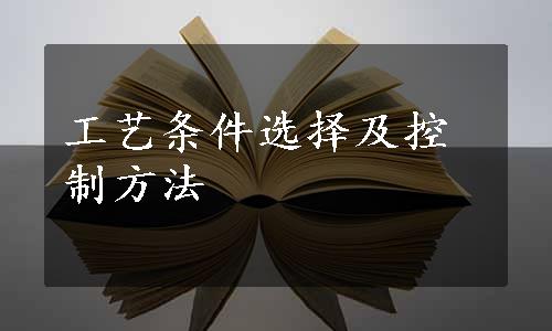 工艺条件选择及控制方法