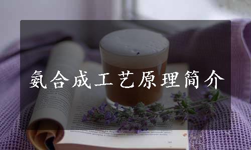 氨合成工艺原理简介