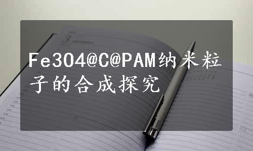 Fe3O4@C@PAM纳米粒子的合成探究