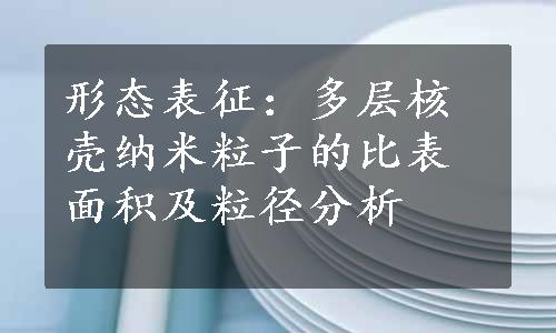 形态表征：多层核壳纳米粒子的比表面积及粒径分析