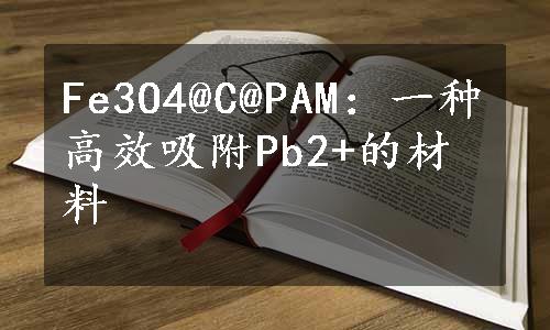 Fe3O4@C@PAM：一种高效吸附Pb2+的材料