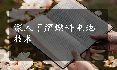 深入了解燃料电池技术