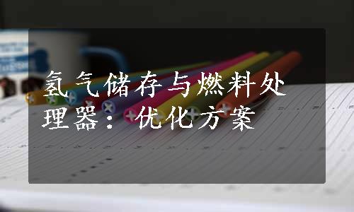 氢气储存与燃料处理器：优化方案