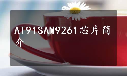 AT91SAM9261芯片简介