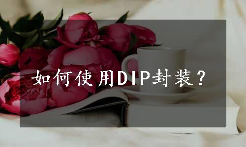 如何使用DIP封装？