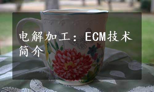 电解加工：ECM技术简介