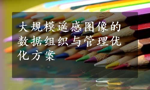 大规模遥感图像的数据组织与管理优化方案