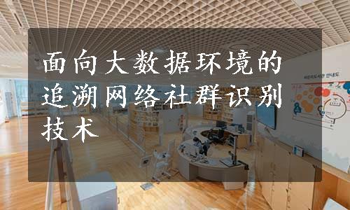 面向大数据环境的追溯网络社群识别技术