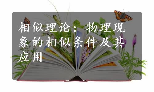 相似理论：物理现象的相似条件及其应用