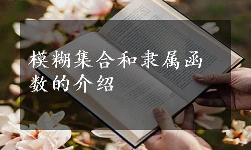 模糊集合和隶属函数的介绍