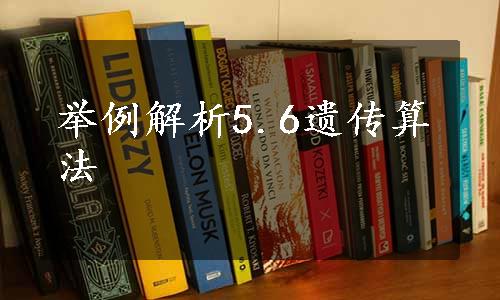 举例解析5.6遗传算法