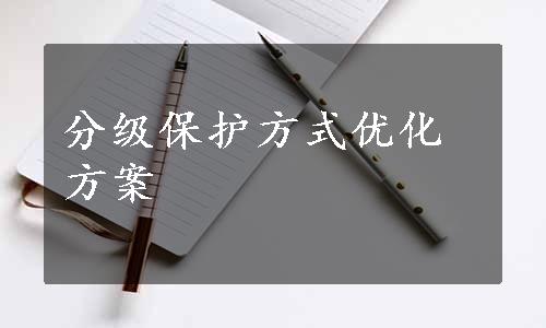 分级保护方式优化方案