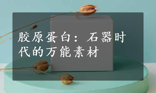 胶原蛋白：石器时代的万能素材