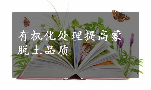 有机化处理提高蒙脱土品质