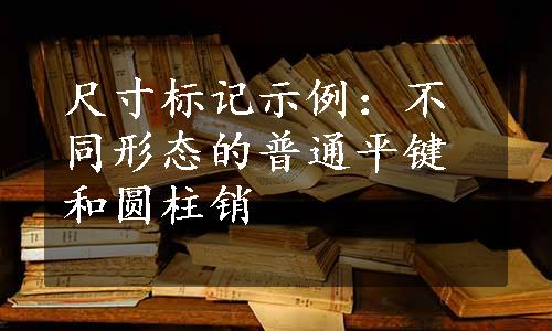 尺寸标记示例：不同形态的普通平键和圆柱销